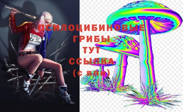 индика Кукмор