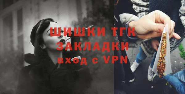 индика Кукмор