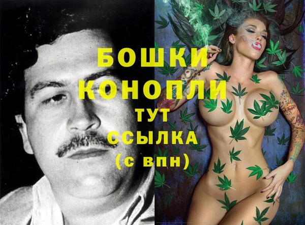 индика Кукмор