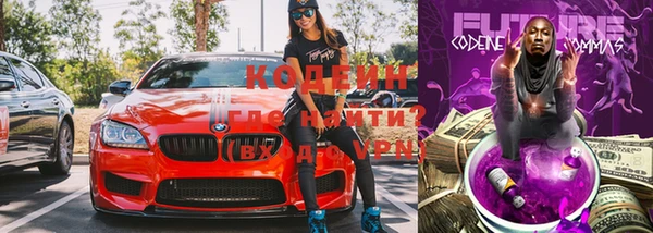 индика Кукмор