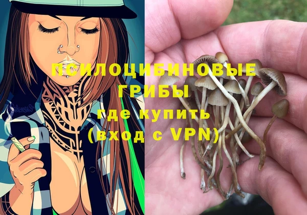 индика Кукмор