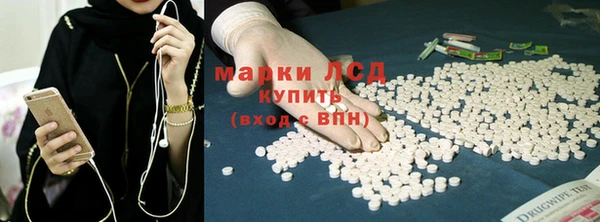 индика Кукмор