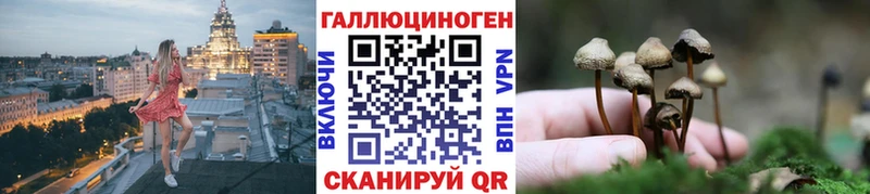 Купить закладки  Давлеканово  Галлюциногенные грибы Psilocybe 
